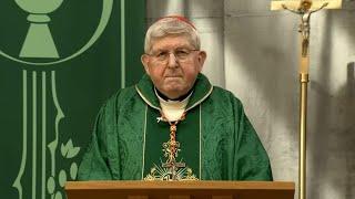 Sunday Catholic Mass Today | Daily TV Mass, Sunday September 8, 2024