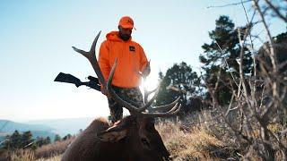 TAGGED OUT in Utah | OTC Bull Down | 4K HUSH VLOG