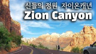 [Zion National Park 자이온 캐년여행] 신들의 정원 자이온캐년 랜선 드라이브 -  꼭 가봐야하는 자이온캐년 국립공원  [살맛나는 레시피 Lime Tree]