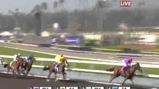 2009 Breeders Cup Marathon - Man Of Iron