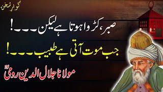 Moulana Rumi Quotes in Urdu | Beautiful Quotes | Gohar e sukhan