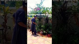 "Mom's Serene Gardening Routine: Watering and Caring for Plants #care #plants #gardeninglovers