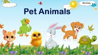 Pet Animals| Pet Animals for Kids| Animals Names |Pets Vocabulary| Learn Video for Kids - Kids Entry