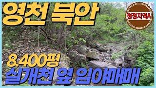 '임야' 좋아하는분들 필수영상 (평당5.700원) 싼 맛에 청정지역 A '임야매매' 합니다