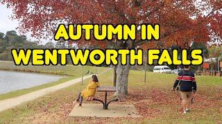 Leaves Had Fallen - an AUTUMN Getaway in Wentworth Falls by Young Campbell