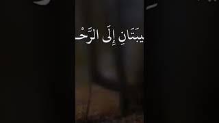 ٢١ ديسمبر، ٢٠٢٤