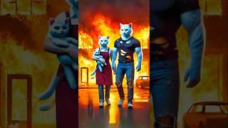 Home Alone: The Kitten's Scary Mistake #shorts #cartoon