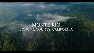 A Vision for Expanding Monte Rio Redwoods | Save the Redwoods League