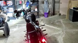 Rogue rider industry  LED turn signals.