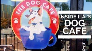 Inside America's First Dog Cafe in Los Angeles