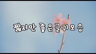 짧지만 좋은글귀 모음