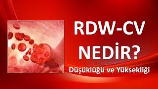 RDW-CV Düşüklüğü ve Yüksekliği