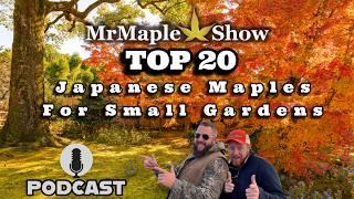 Top 20 Japanese Maples For Small Gardens | MrMaple Show Podcast