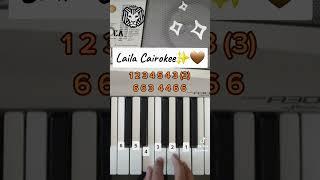 Cairokee Laila .. ليلي  #fyp #arabic #piano #بيانو #cairokee @Cairokeeofficial @amireid