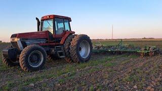 Field Cultivating with the Case IH 7230 Magnum