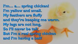 Spring Chicken Song  (One Mother Hen) [with lyrics for congregations]