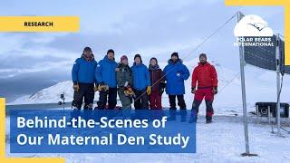 Behind-the-Scenes Look at Our Maternal Den Study