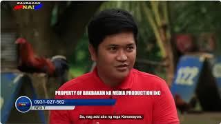 Bakbakan na! Breeder of the Week "Red Tiger GF" @OnesimusGF