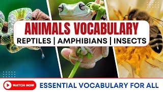 50 + Animal Vocabulary: Reptiles, Amphibians & Insects | Animal Vocabulary in English