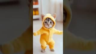 Arhan ne dikhaya sabko cat ka dance #shorts