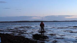 Bass and Bait fishing Anglesey #bassfishing  #seafishinguk