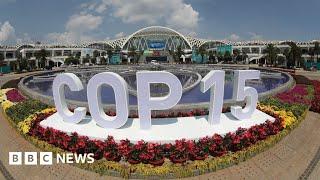 COP15 UN biodiversity summit opens in Canada – BBC News