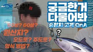 승참치 - 오도로? 주도로? 축양? 60상?  참다랑어의 어려운 용어 완전풀이