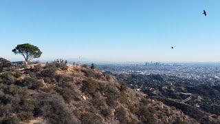 Hike to The Wisdom Tree on Burbank Peak