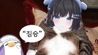 코렛트 : 한결은 짐승이다