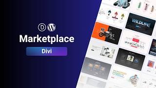 Divi Marketplace: Los Mejores Plugins y Temas para Crear Páginas Web con Divi y Wordpress