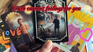 Crush Current feelings/ emotions for you️‍ Crush current feelings | Hindi tarot card