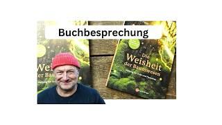 "Die Weisheit der Baumwesen" von Sam Hess // Buchvorstellung