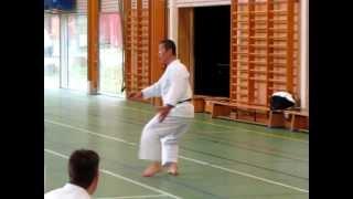 Kagawa-sensei demonstrates unsoku for the stance kokutsu-dachi