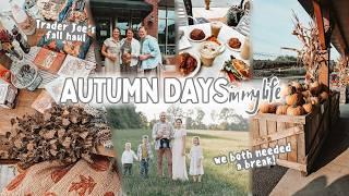 Autumn WEEK IN MY LIFE: Trader Joe's Fall Haul, can we survive family pictures? +apple pie & updates