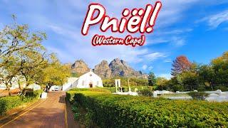 S1 – Ep 481 – Pniёl, Western Cape!