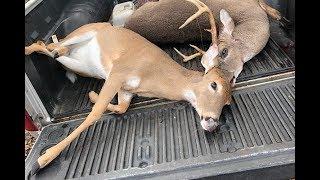 Deer Dog Drive 11/24/2018 Double Up On A Fantastic Day