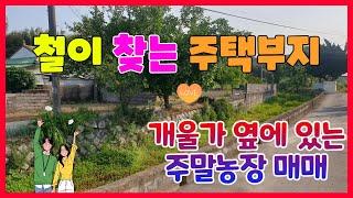 341. 고현리 주택부지매매 개울옆 청하주택부지 매매  주말농장으로 활용하고 있는  포항주택부지 매매 청하대지매매 포항부동산 청하부동산 지목부동산