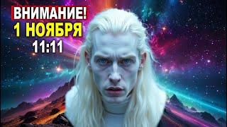 1 ноября 2024 года в 11:11 откроется энергетический портал.