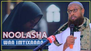 NOOLASHA ADUUNKA WAA IMTIXAAAN  || Sh Maxamuud Xaliika