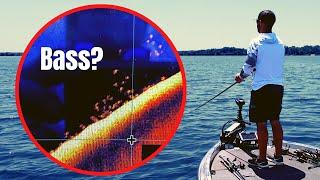 SIMPLIFY Offshore BASS FISHING (Find MEGA Schools)