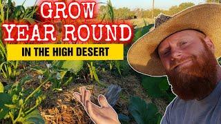 Gardening in the Arizona Desert