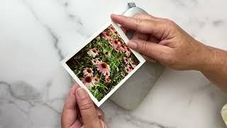 Reviewing and testing the HP Sprocket 3x4 Size #review #photography #crafting