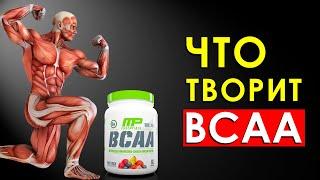 Что Произойдет с Телом, Если Принимать BCAA (БЦАА)?