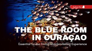 The Blue Room in Curaçao: Essential Curaçao Diving and Snorkeling Experience