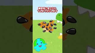 絶対に触ってはいけない木【ピソニア】#生物 #動物 #shorts