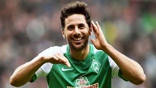 Claudio Pizarro all 17 goals of the season 2015-2016 ● HD