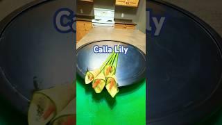 Calla Lily Fruits and vegetables carving, designing and cutting #fruitables #cardecut #053