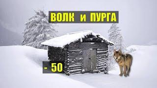 КАК Я ВЫЖИЛ в МОРОЗ СУДЬБА РАССКАЗЫ ОХОТНИКОВ ВОЛК ДОМ в ЛЕСУ ВЫЖИВАНИЕ ИСТОРИИ из ЖИЗНИ АУДИОКНИГА