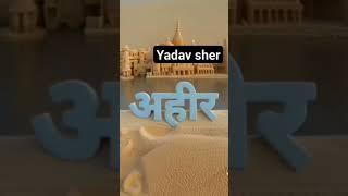 yadav sher