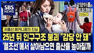 [지식뉴스] 25년 뒤 인구구조 붕괴 "감당 안 돼"...'헬조선'에서 살아남으면 대한민국 출산율 다시 높아질까 (ft.이원재 카이스트 교수) / SBS / 교양이를 부탁해